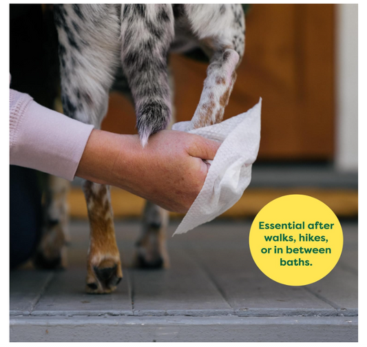 Earth Rated Pet Grooming Wipes for Dogs and Cats, Hypoallergenic, Cleaning and Hydrating, for Paws, Body and Butt, Unscented, 100 Count
