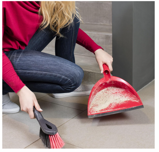 Vileda Dust Pan & Brush Set