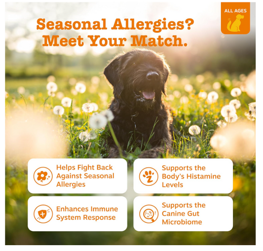 Zesty Paws Dog Allergy Relief- Dog Itching Skin Relief- Dog Probiotics for Itchy Skin and Itchy Ears- Dog Allergy Paw Relief- Dog Allergy Chews- Dog Itch Relief - Dog Skin Allergy Relief - Lamb - 90ct